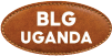 Big Leather Goods